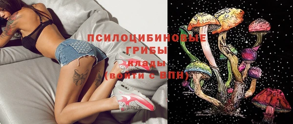 Альфа ПВП Баксан