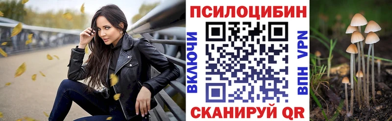 Купить закладки  Полесск  Галлюциногенные грибы Cubensis 